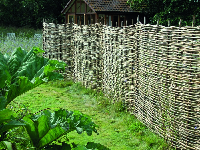 Hazel Hurdles